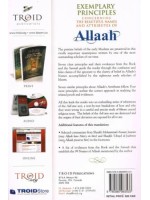 Exemplary Principles Concerning the Beautiful Names and Attributes of Allaah